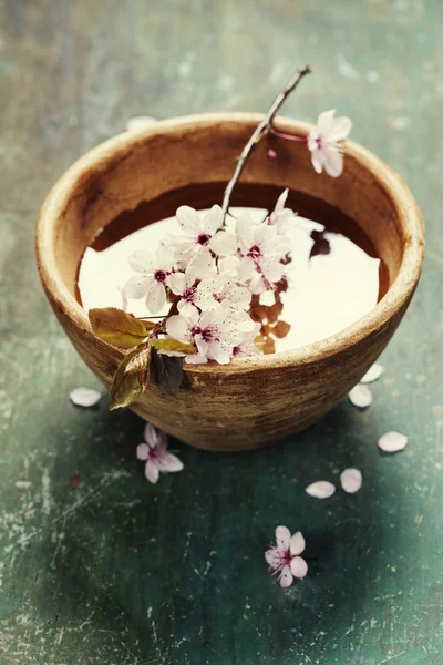Jarní květiny v dřevěné misce — Stock fotografie