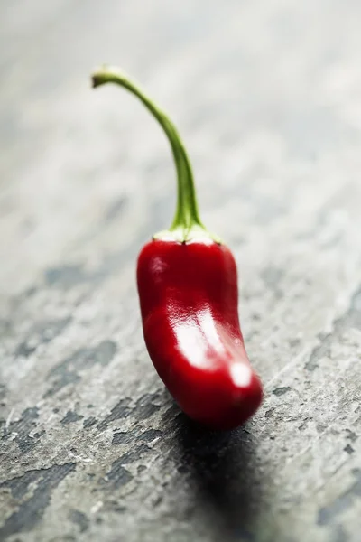 Chili paprika — Stockfoto