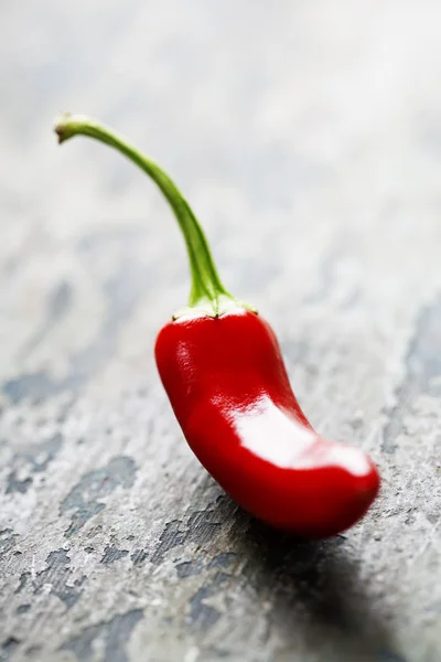 Chilischoten — Stockfoto