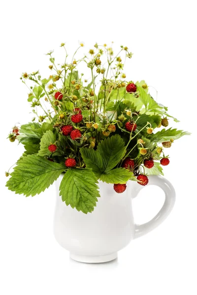 Bouquet of wild strawberry — Stock Photo, Image