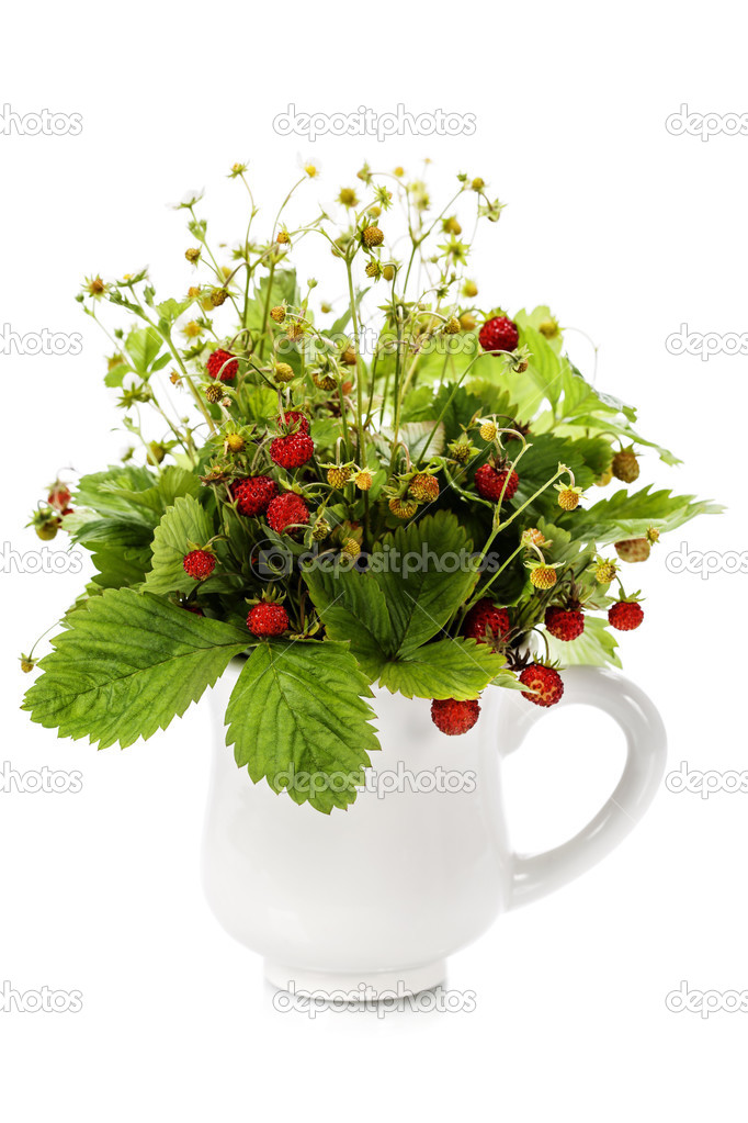 bouquet of wild strawberry