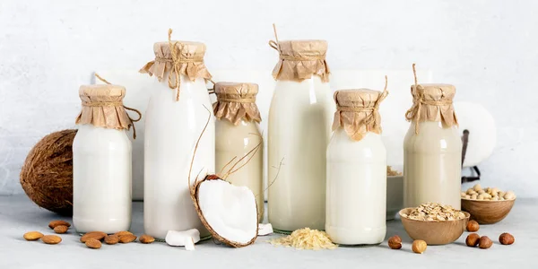Niet-zuivel plantaardige melk in flessen en ingrediënten op een lichte achtergrond. Alternatieve lactosevrije melkvervanger, banner — Stockfoto