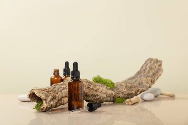 Boş kehribar camının modaya uygun bileşimi esaslı yağ şişeleri, kurumuş dallar ve bej arka planda yosun. Ürün, kozmetik, parfüm, mücevherler.