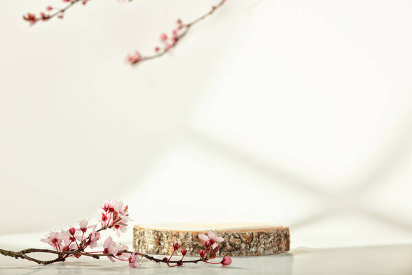 Minimal modern product display on white background. Wood slice podium and spring brunches