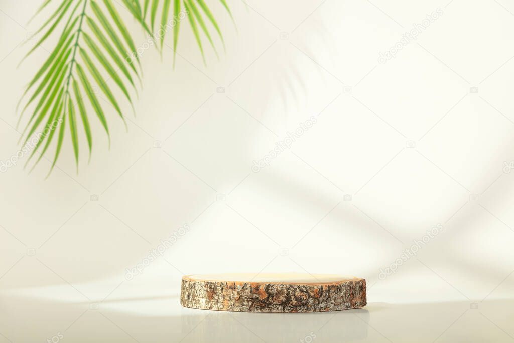 Eco rustic pine tree wood disc platform podium and palm leaves on white light and shadow copy spase background