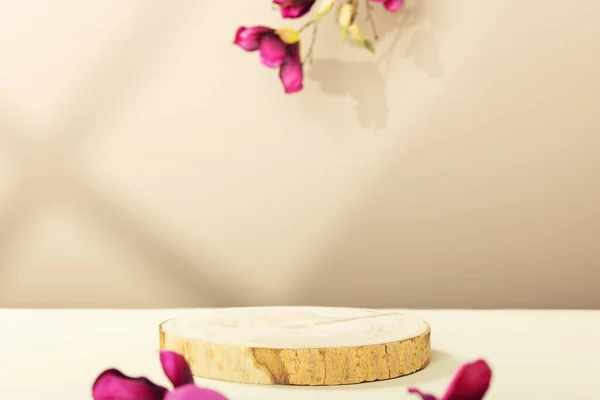Minimaal Modern Product Display Beige Achtergrond Hout Snijpodium Paarse Magnolia — Stockfoto