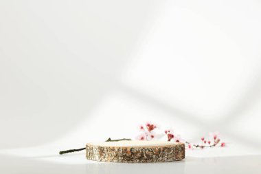 Beyaz arka planda minimal modern ürün görüntüsü. Odun dilimleri ve bahar brunch 'ları. Yeni ürün için konsept sahne gösterisi, tanıtım satışı, afiş, sunum, kozmetik