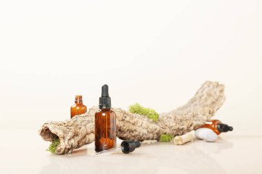 Boş kehribar camının modaya uygun bileşimi esaslı yağ şişeleri, kurumuş dallar ve bej arka planda yosun. Organik kozmetik ürünler için soyut podyum. Kopyalama alanı olan en küçük konsept.