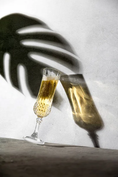 Champagnerglas Und Langes Glas Und Tropische Blattschatten Gegen Betonwand Modernes — Stockfoto