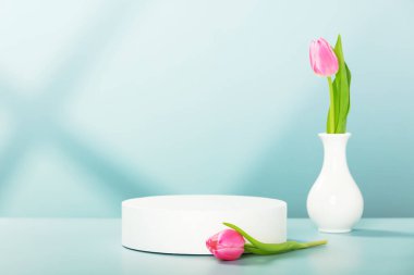 Pencere gölgeli, soyut boş beyaz podyum ve mavi arka planda güzel pembe lale çiçekleri. Kozmetik ürün sunumu için stand-up yapın. Üç boyutlu çizim. Minimum konsept. Reklam şablonu