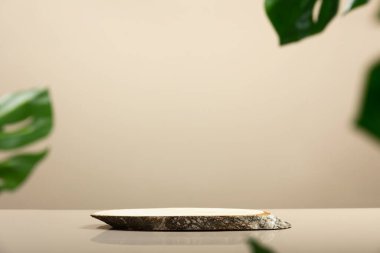 Tarafsız bej arka planda minimal modern ürün görüntüsü. Ağaç dilimi podyumu ve yeşil canavar yaprakları. Yeni ürün için konsept sahne gösterisi, tanıtım satışı, afiş, sunum, kozmetik