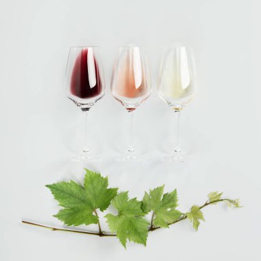 Flat-lay of red, rose and white wine in glasses and Vine branch on white background. Wine bar, winery, wine degustation concept. Minimalistic trendy photography