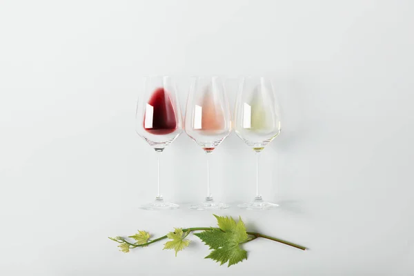 Plochá Vrstva Červeného Růžového Bílého Vína Brýlích Větve Vinných Lístků — Stock fotografie
