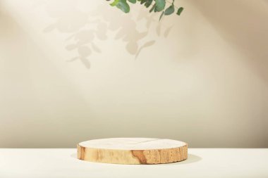 Okaliptüs yaprakları ve bej arka planda gölgeler olan soyut boş ağaç dilimi podyumu. Ürün sunumu için stand-up yapın. Üç boyutlu çizim. Minimum konsept. Reklam şablonu