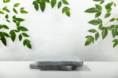 Monochrome gray template for mockup, banner. Flat granite pedestal and green leaves on light gray background. Stone stand for natural design concept. Horizontal image, center composition, hard light