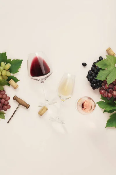 Flat Lay Red Rose White Wine Glasses Branch Grape Vine — Foto Stock