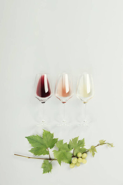 Flat-lay of red, rose and white wine in glasses and Vine branch on white background. Wine bar, winery, wine degustation concept. Minimalistic trendy photography