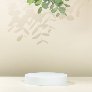Okaliptüs yaprakları ve bej arka planda gölgeler olan soyut beyaz podyum. Ürün sunumu için stand-up yapın. Üç boyutlu çizim. Minimum konsept. Reklam şablonu