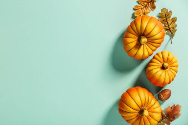 Dekoratif küçük balkabakları ve sonbahar yapraklarıyla sonbahar yaratıcı tasarımı. Mavi bir arkaplan üzerinde düz-yatay, üst görünüm kopyalama alanı