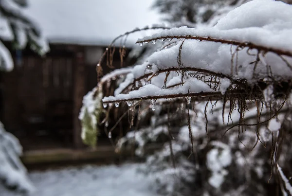 Winter — Stock Photo, Image