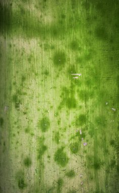 renk eski taş doku. arka plan fotoğraf.