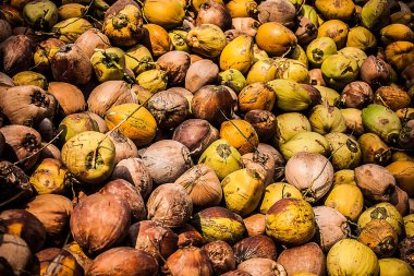 Tayland atılan Hindistan cevizi kabuğu yığını