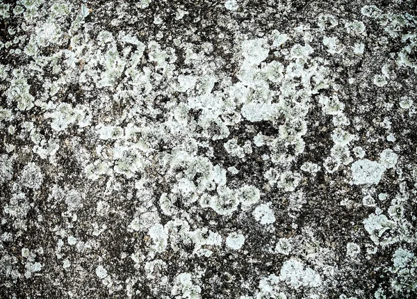 Contexte de texture de mur de pierre. — Photo