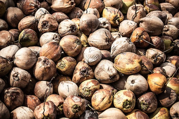 Pile of discarded coconut husks in Thailand — Stock Photo, Image