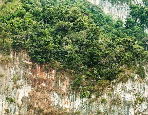 背景としてタイの崖. — ストック写真