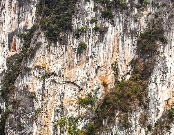 Útes v Thajsku jako pozadí. — Stock fotografie