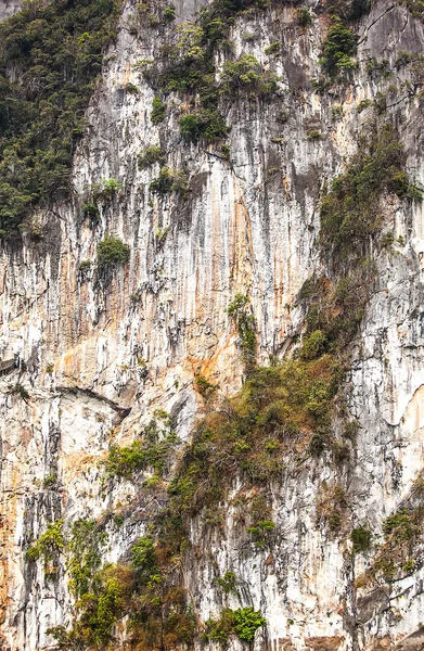 Útes v Thajsku jako pozadí. — Stock fotografie