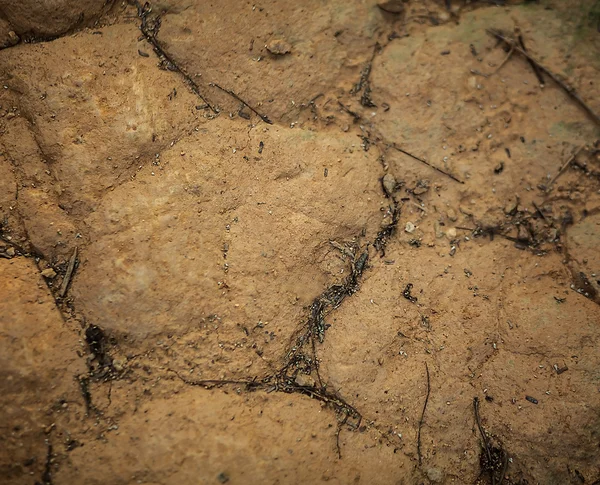 Ruwe stenen achtergrond. — Stockfoto