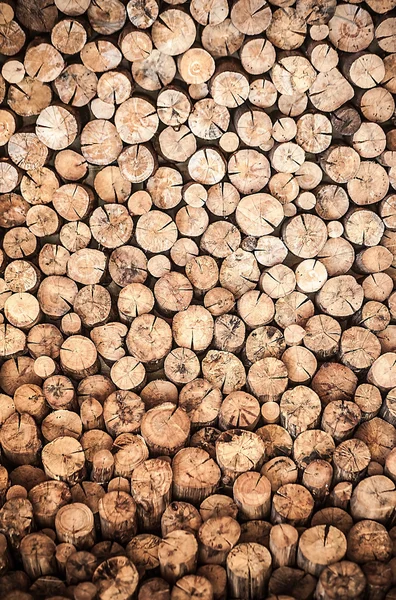 Montón de tronco de árbol. Fondo de madera . —  Fotos de Stock