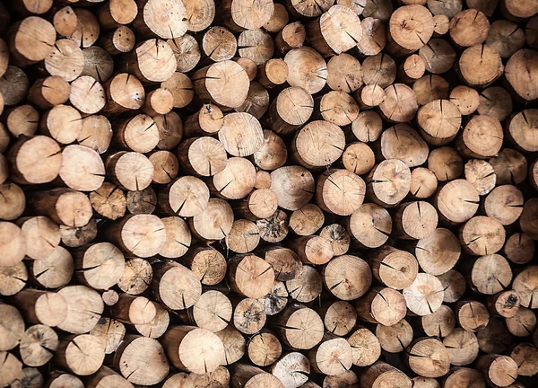 木の切り株のスタック。木製の背景. — ストック写真
