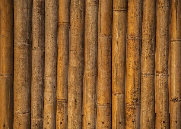 Bambu Arkaplanı. — Stok fotoğraf