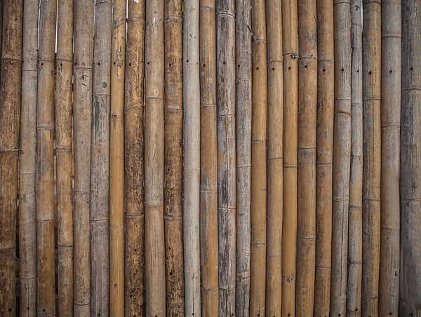 Bambus-Hintergrund. — Stockfoto