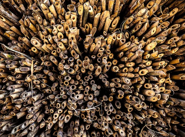 Pila di tronco d'albero. Sfondo in legno . — Foto Stock