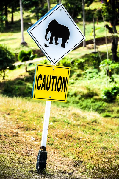 Señal de tráfico "precaución elefantes" en la pista en Tailandia — Foto de Stock