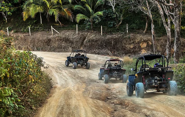 Jeeps na selva — Fotografia de Stock