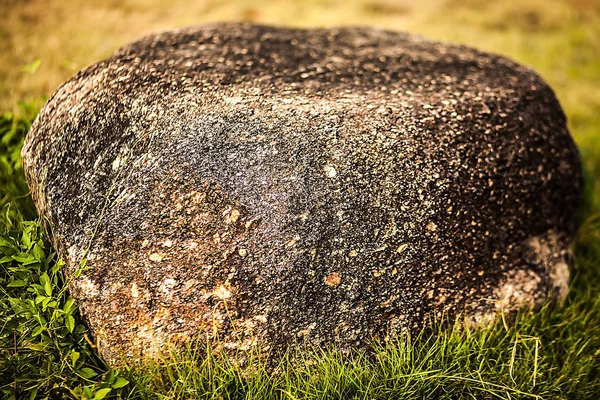 Pedra na grama — Fotografia de Stock