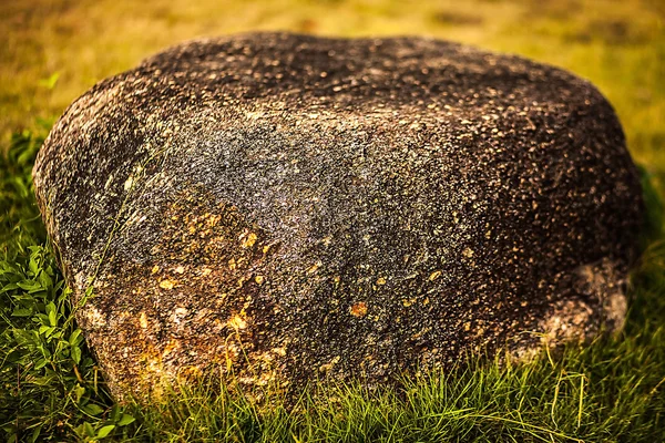 Pedra na grama — Fotografia de Stock