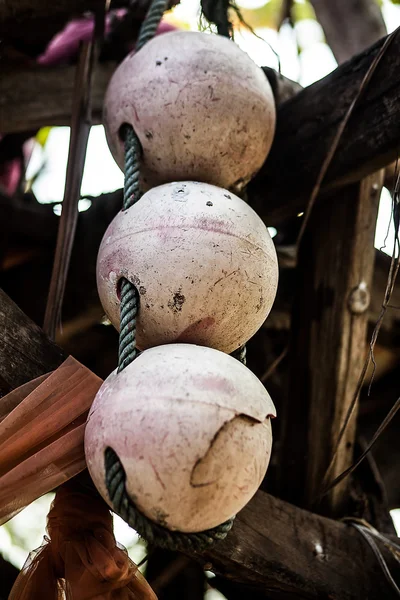 Bóje na stromě na pláži. — Stock fotografie