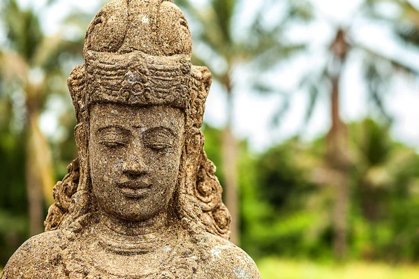 Budda heykeli. Endonezya - bali. — Stok fotoğraf