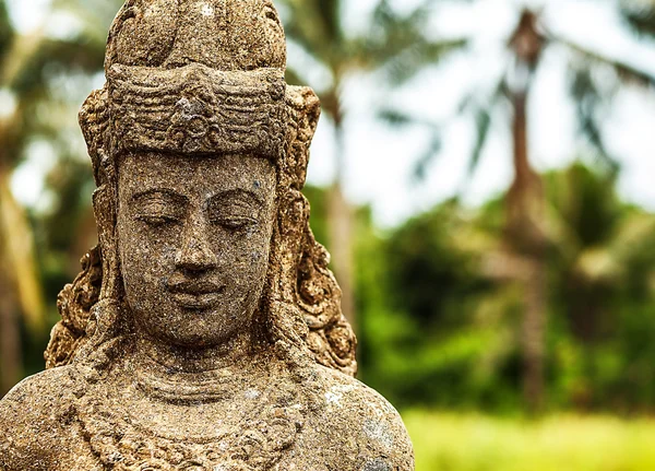 Budda heykeli. Endonezya - bali. — Stok fotoğraf