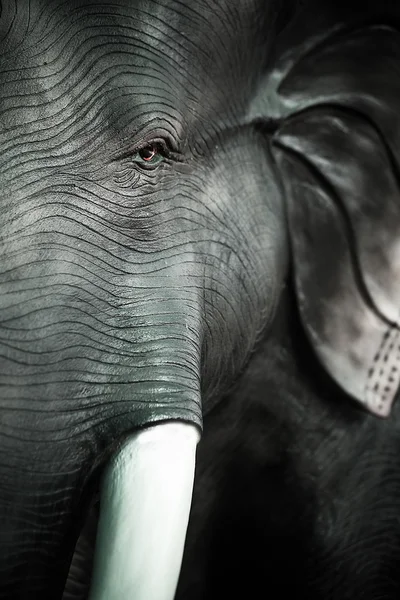 코끼리 조각 — 스톡 사진