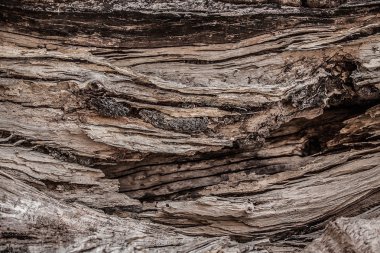 eski ahşap arka plan.