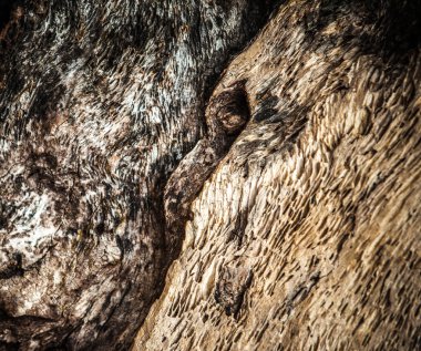 eski ahşap arka plan.