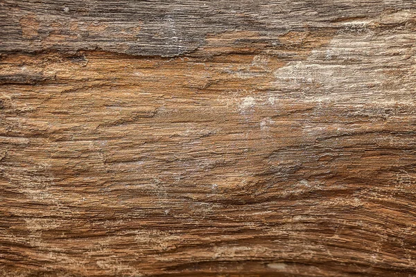 Altes Holz. — Stockfoto