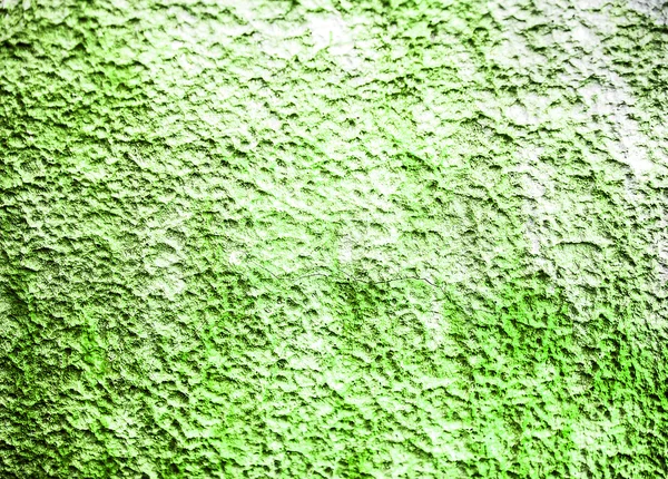 Texture delle pareti, verde — Foto Stock