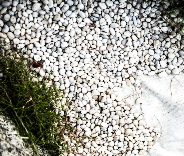 Background with grass and pebbles — Stock Photo, Image